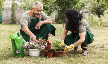 Landscapers caring planting flowers