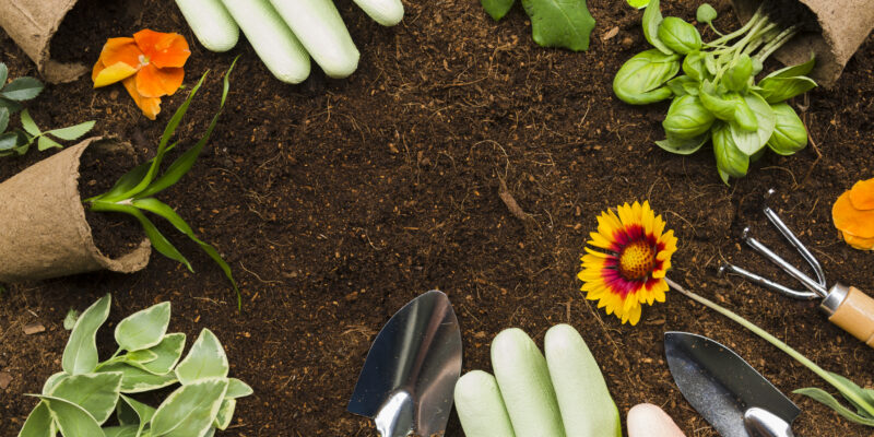 Image of Lawn Care tools