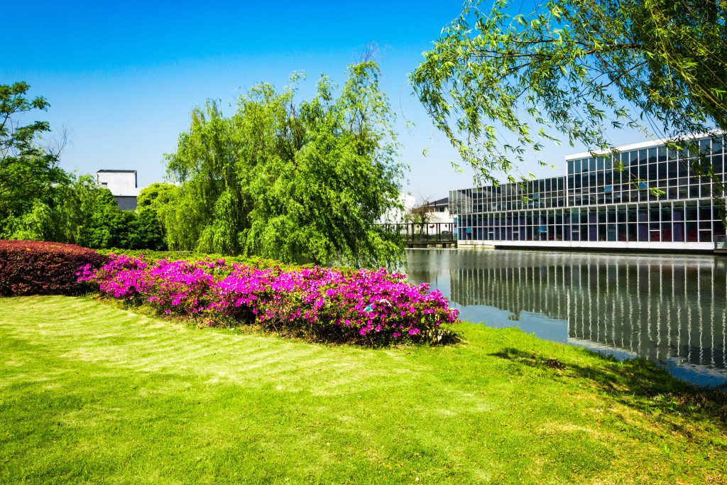 office building with river and beautiful flowers