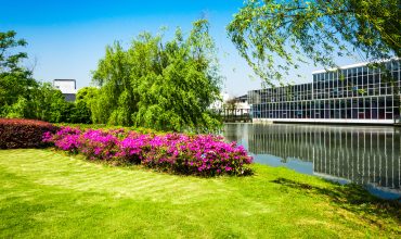 office building with river and beautiful flowers