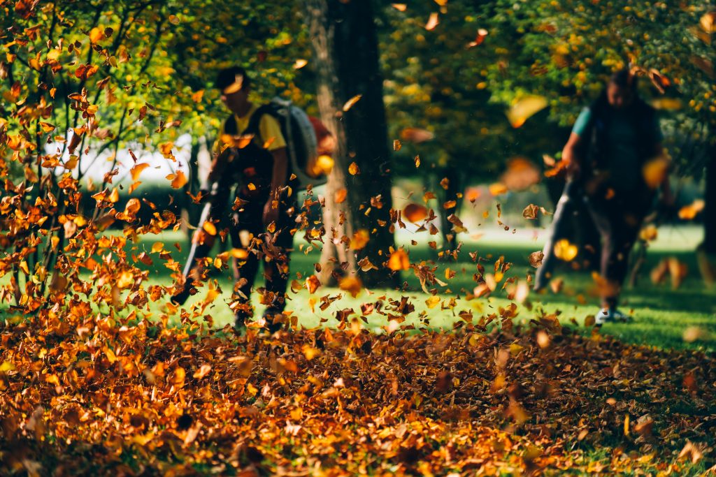 People operating a heavy duty leaf blower. Autumn